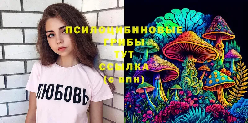 Псилоцибиновые грибы Psilocybine cubensis  Джанкой 